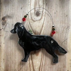 Black Flat Coated Retriever