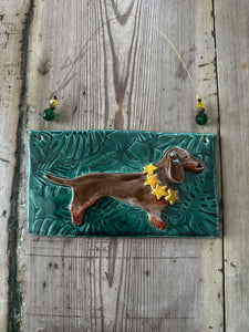 Brown & Tan Dachshund Picture