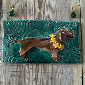 Brown & Tan Dachshund Picture